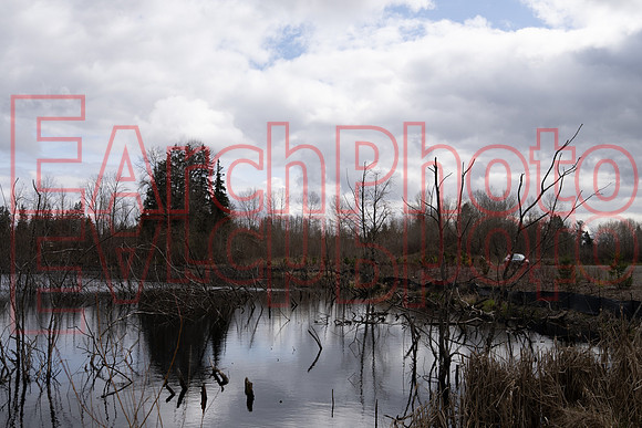 Earchphoto-Seattle-MAR23-city-2