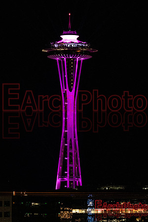 Earchphoto-NYE-2019-L-2