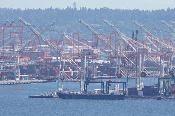 Earchphoto-seafair-22-needle-92
