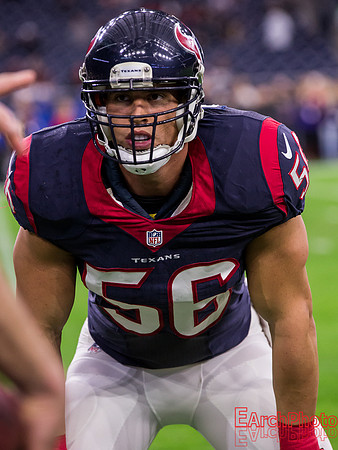 Earchphoto-NFL-Houston-Texans-Jacksonville-Jaguars-2014-web-Ig-19
