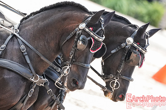 Earchphoto-WEG-Tryon2018-d13-driving-L-9