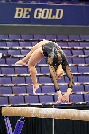 Earchphoto=BeGold-UW-GymDawgs-5
