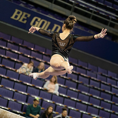 Earchphoto=BeGold-UW-GymDawgs-1
