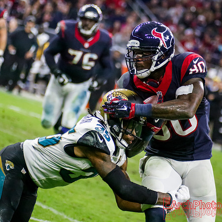 Earchphoto-NFL-Houston-Texans-Jacksonville-Jaguars-2014-web-110