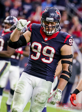 Earchphoto-NFL-Houston-Texans-Jacksonville-Jaguars-2014-web-138