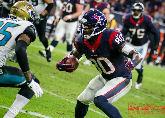 Earchphoto-NFL-Houston-Texans-Jacksonville-Jaguars-2014-web-104