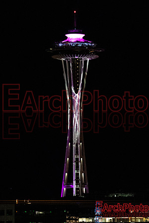 Earchphoto-NYE-2019-L-1