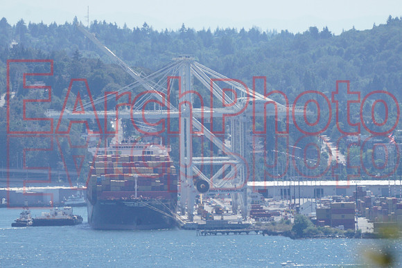 Earchphoto-seafair-22-needle-90