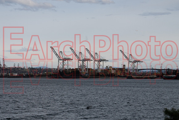 Earchphoto-Seattle-MAR23-city-91